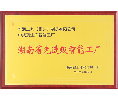 湖南省先进级智能工厂