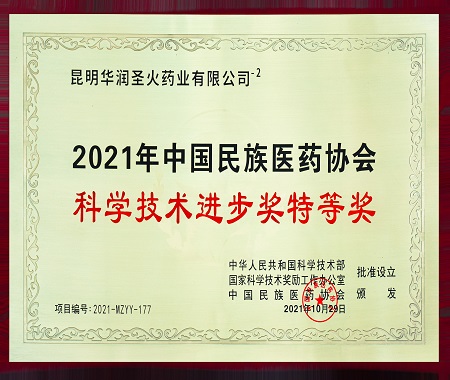 2021年中国民族医药协会 科学技术进步奖特等奖